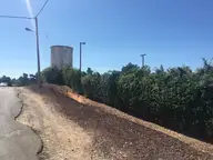 To the Vineyard Shop