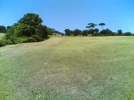 At the park