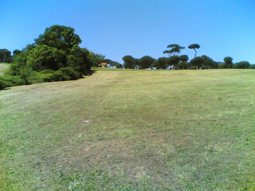 At the park