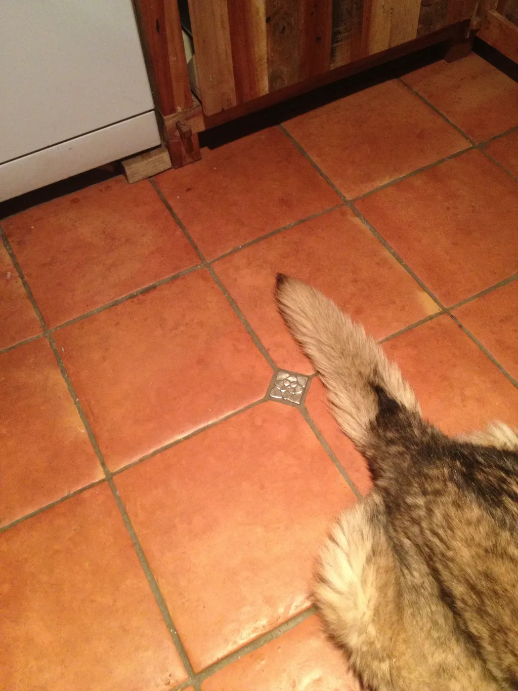 I’m Too Sexy for My Tiles