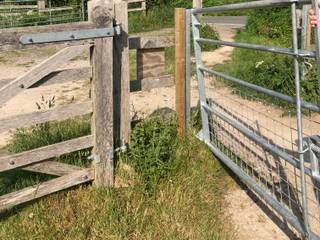 Gateway to Ruin