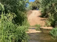 A Spot of Mine