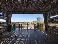 Through the Blind