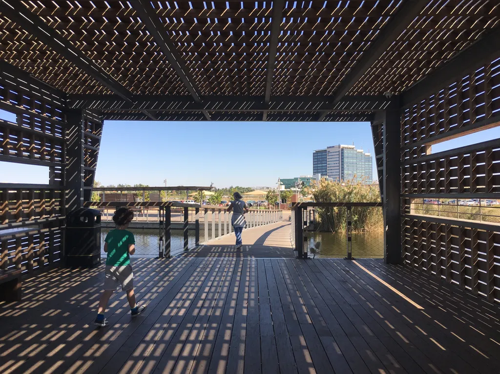Through the Blind