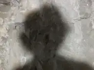 Self Portrait as a Shadow on the Rocks