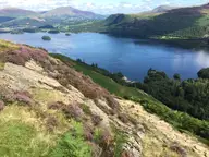 Frith on the Hills