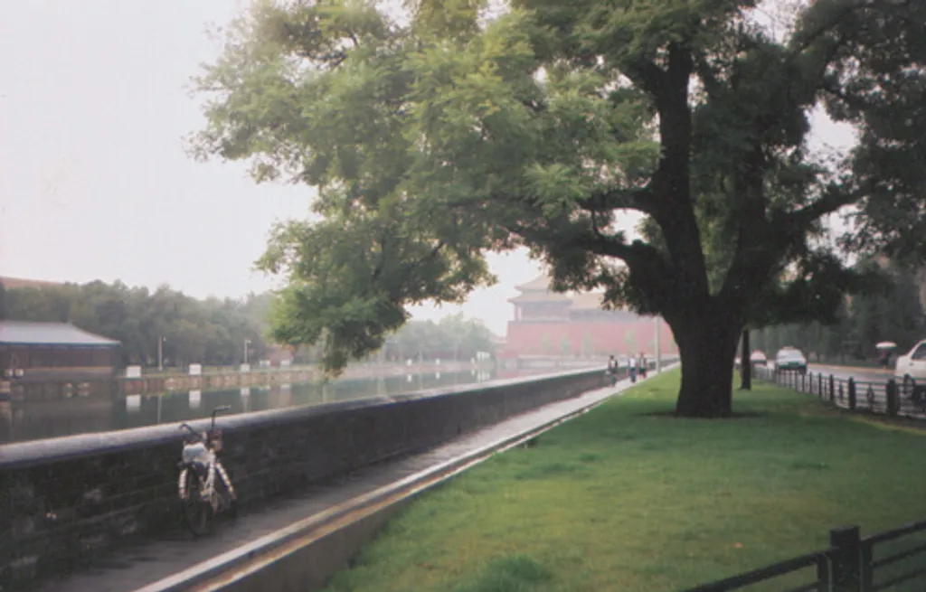 Moped with Forbidden City