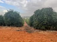 Rust Red Ra'anana