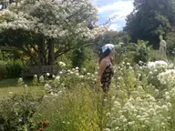 Magic Garden