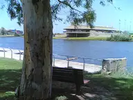 Eucalyptus and Sailing School