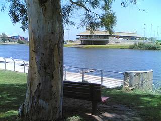 Eucalyptus and Sailing School
