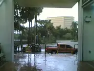Welcome to Tropical Florida