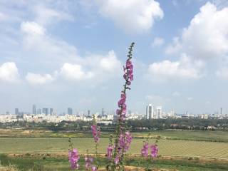 Native Pink