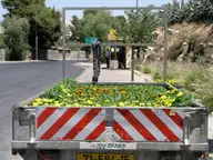 Man is everywhere in flowers