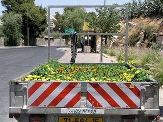 Man is everywhere in flowers