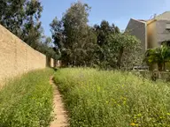On a Walks