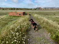Kelly Maud along the River Adur
