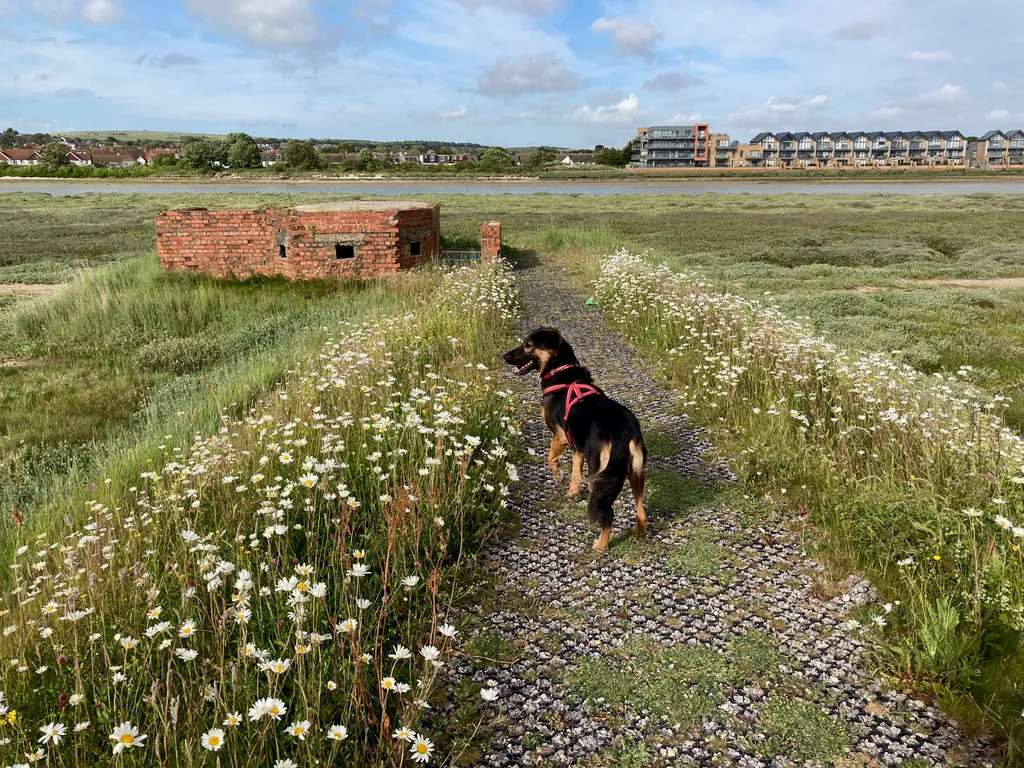 Kelly Maud along the River Adur
