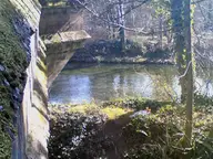 Down by the River