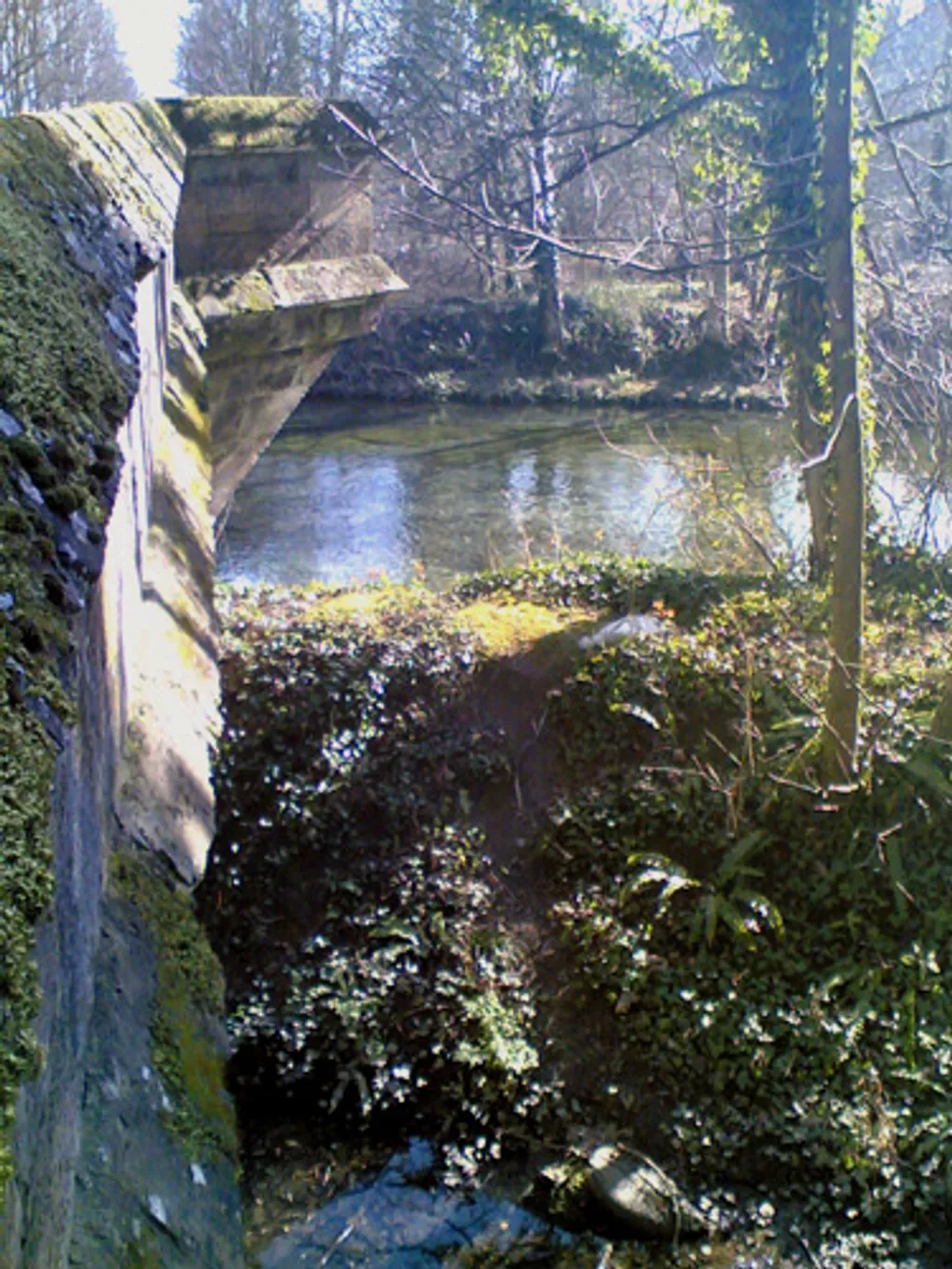 Down by the River