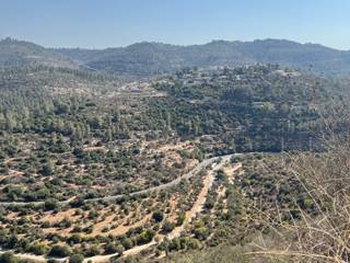 Near Sapir
