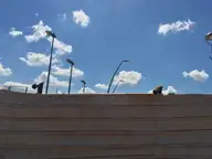 Spectators