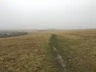 Needed a Break