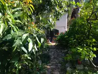 Luscious Compound at the Fields of V