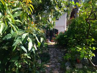 Luscious Compound at the Fields of V