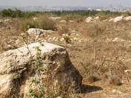 Rock and distant concrete factory