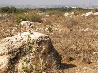 Rock and distant concrete factory