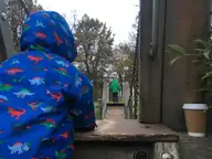 Brothers at the Level
