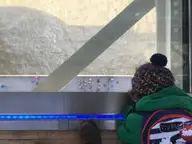Not Scared at All