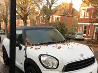 Nature’s Confetti