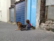 Streetwatch in Blue