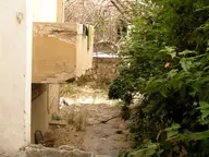 The Tao of Crumbly Tel Aviv