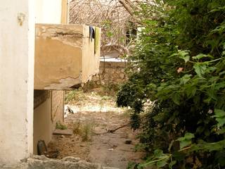 The Tao of Crumbly Tel Aviv