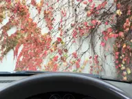 Parking in Pink