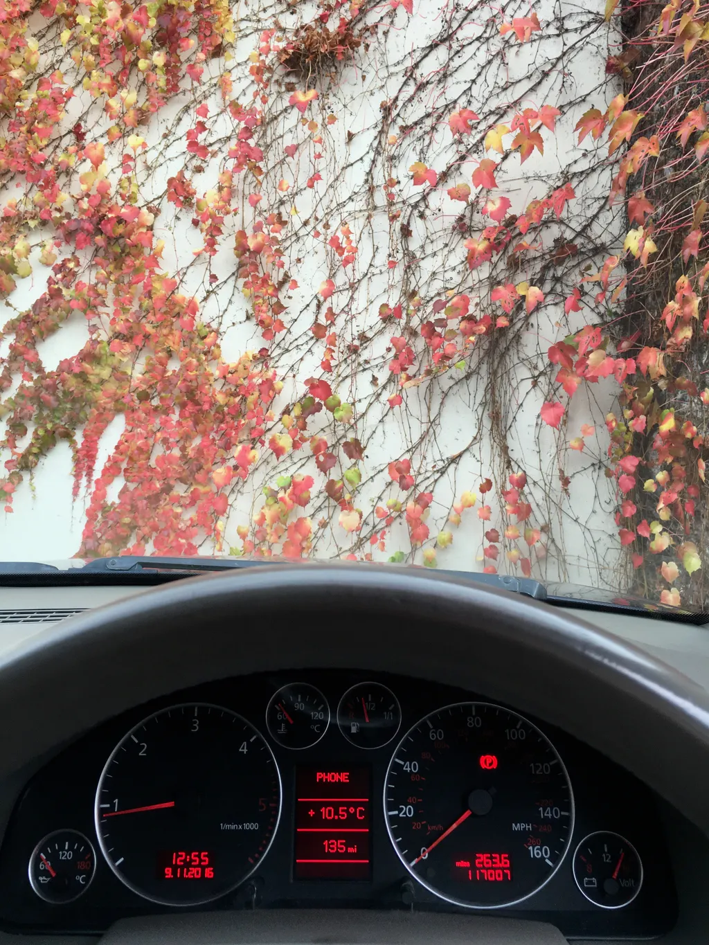 Parking in Pink