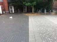 Autumn’s Coming to the Pool