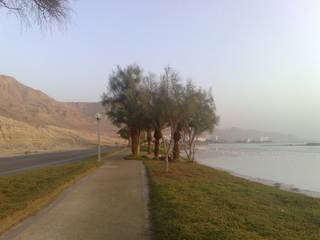Early Morning Ein Bokek