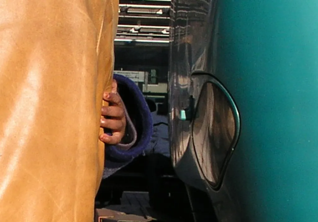 Jacket and train