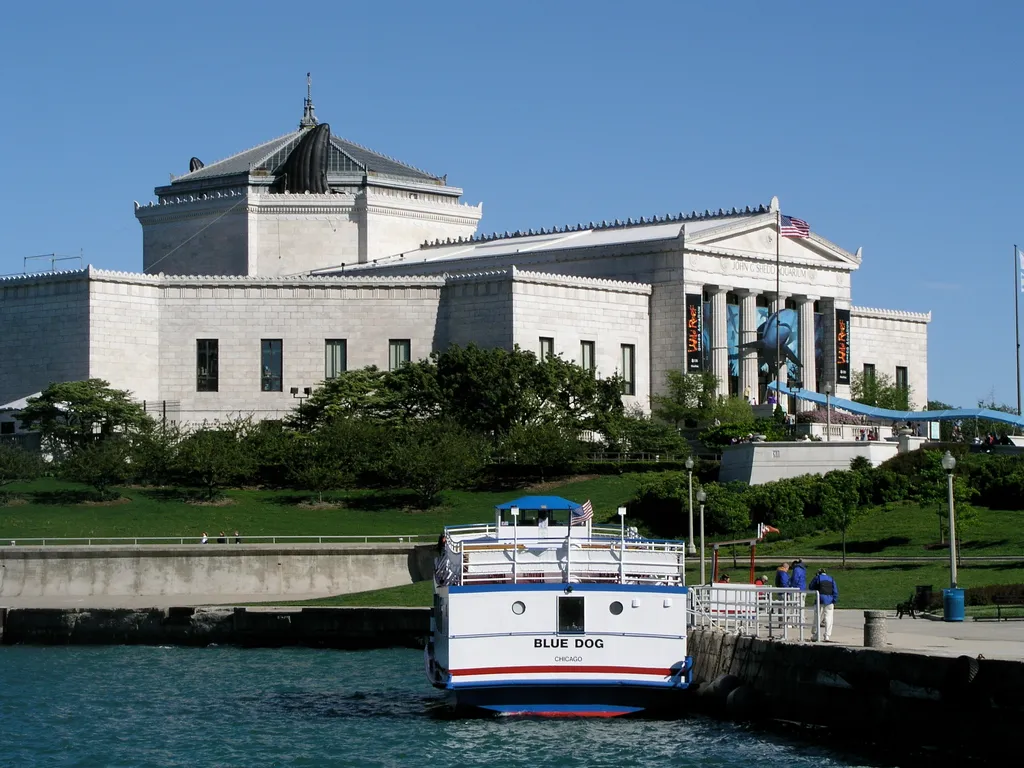 Blue Dog and Shedd Aquarium