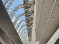 Valencia Science Museum Ceiling View