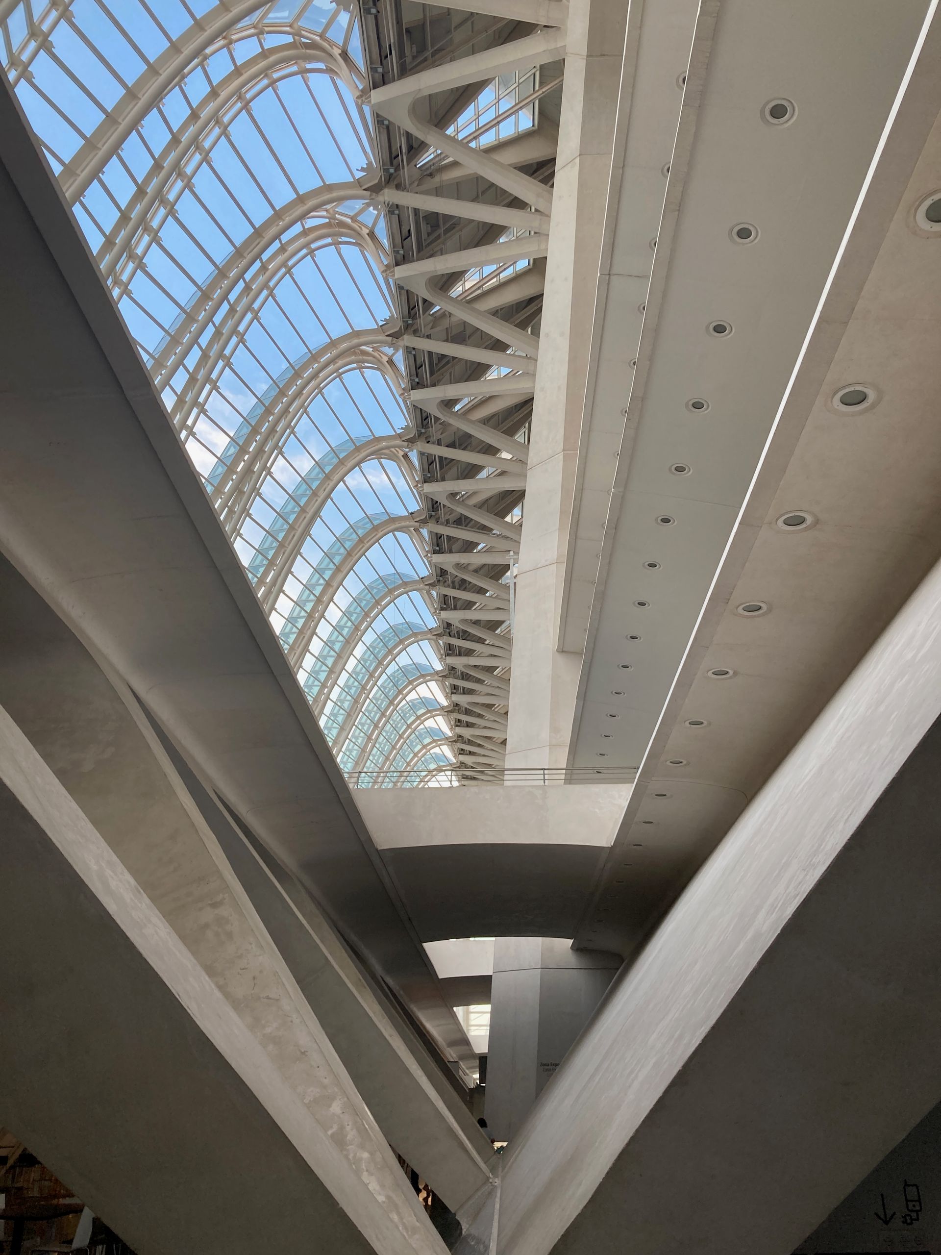 Valencia Science Museum Ceiling View