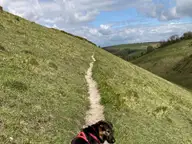 On a nice walks