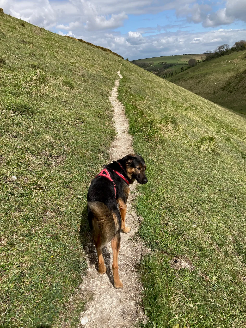On a nice walks