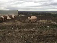 OK?