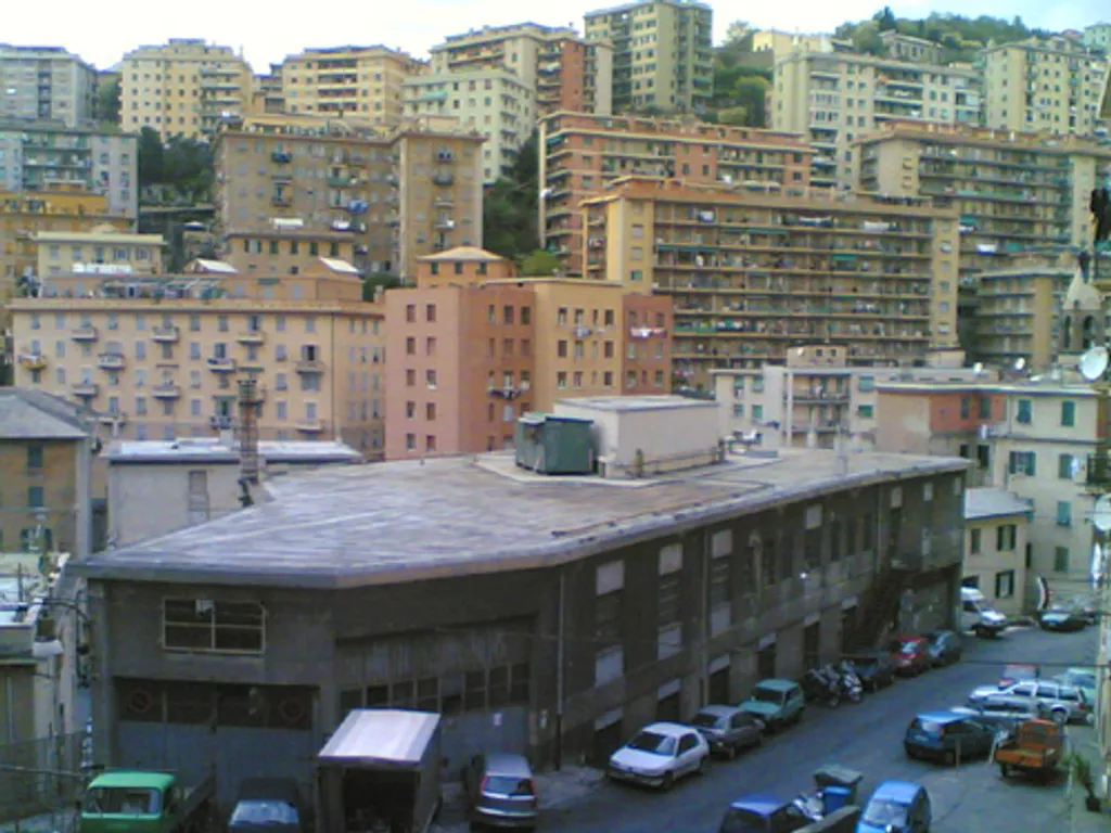 Charming blight of Genoa
