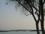 Dead Sea Life